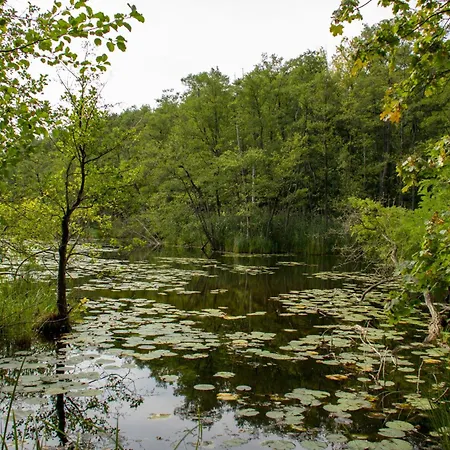 Апартаменты In 26568 Trebbin