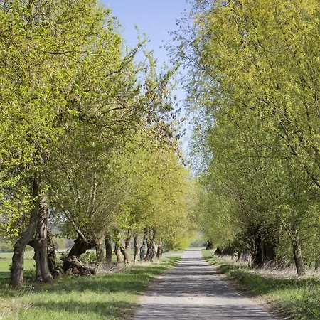 In 26568 Apartament *